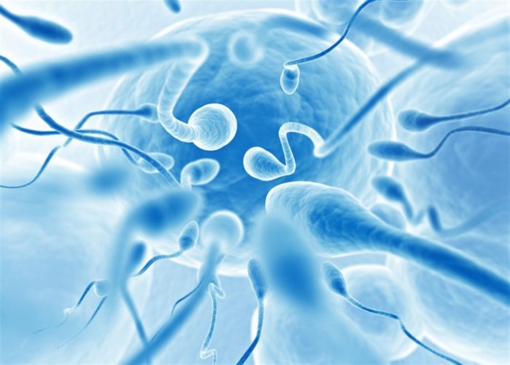 Male Sexually Transmitted Diseases(Large)